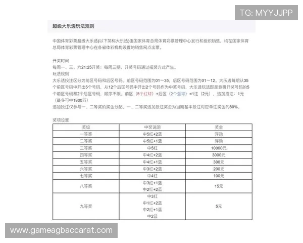 掌握百家乐路单电脑版的使用技巧实现精准分析与科学投注策略